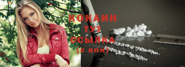 соль ск Богданович