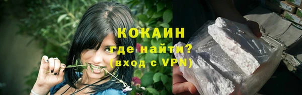 mdpv Богородицк