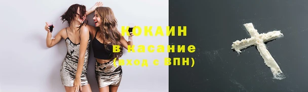 apvp Богородск